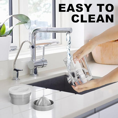 Automatic Fruit Juicer